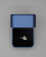 Anillo De Plata Serpiente Ct PTLB321