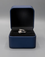 Anillo De Plata Serpiente Ct PTLB322