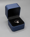 Anillo De Plata Serpiente Ct PTLB322