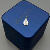 Dije De Plata Virgen PTLB278