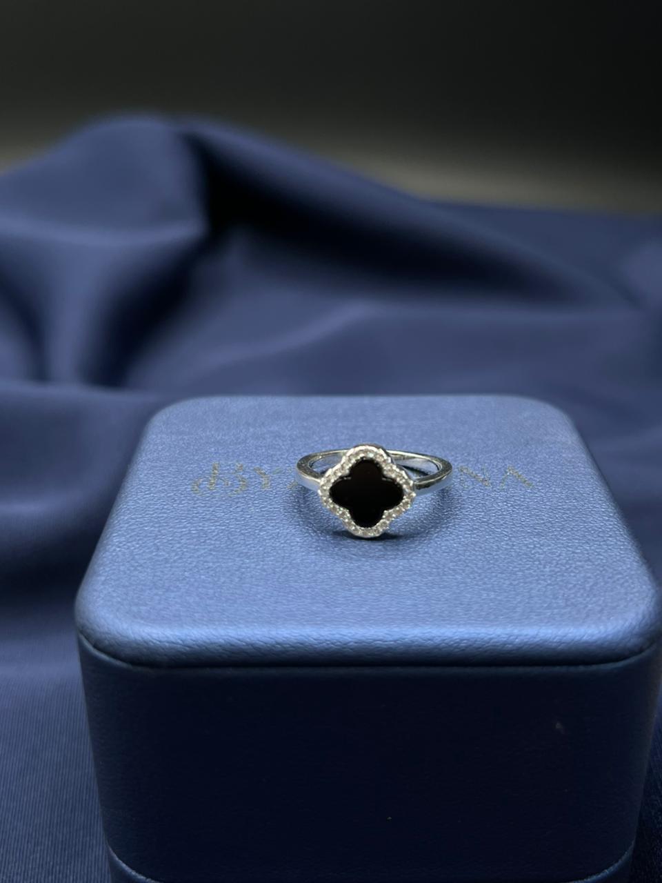 Anillo De Plata VC PTLB293