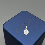 Dije De Plata Virgen PTLB278